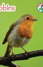 Book cover for "Robins"