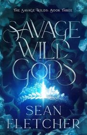 Sean Fletcher book cover
