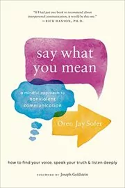 Book cover for "Say What You Mean" by Oren Jay Sofer