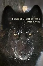 Seaweed Under Fire