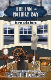 Book cover for "Secret in the Storm" by Kathi Daley