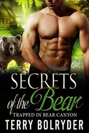 Book cover for "Secrets of the Bear" by Terry Bolryder