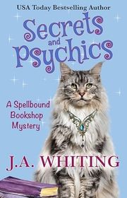 Book cover for "Secrets and Psychics" by J A Whiting