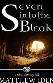 Book cover for "Seven Into the Bleak" by Matthew Iden