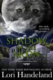 Shadow of the Moon