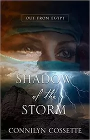 Shadow of the Storm
