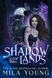 Shadowlands Sector, Three