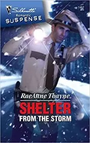 Searchers book cover
