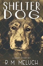 Book cover for "Shelter Dog" by RM Meluch