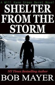 Book cover for "Shelter From The Storm"