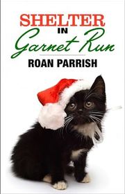 Book cover for "Shelter in Garnet Run"