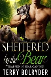 Book cover for "Sheltered by the Bear" by Terry Bolryder