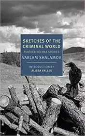 Sketches of the Criminal World