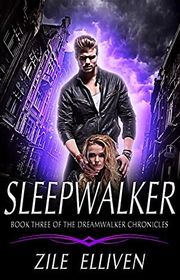 Dreamwalker Chronicles book cover