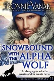 Snowbound with the Alpha Wolf