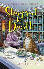 Book cover for "Something Wicked" by Sierra Dean