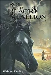 Son of the Black Stallion