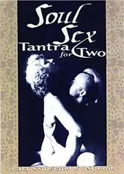 Book cover for "Soul Sex" by Al Link