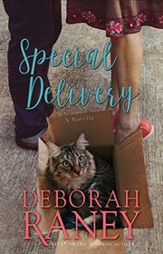 Book cover for "Special Delivery" by Deborah Raney