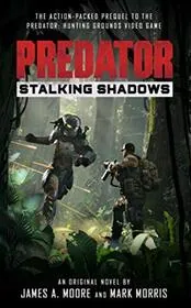 Book cover for "Stalking Shadows" by James A Moore