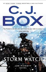 Book cover for "Storm Watch"