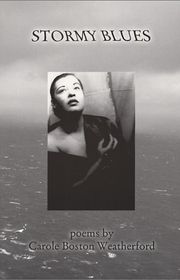 Book cover for "Stormy Blues"