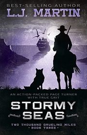 Book cover for "Stormy Seas" by LJ Martin