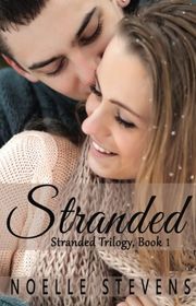 Drake and Ashley book cover