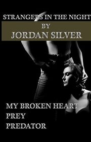 Book cover for "Strangers In The Night" by Jordan Silver