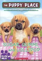 Sugar, Gummi, and Lollipop