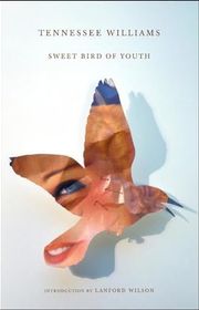 Book cover for "Sweet Bird of Youth"