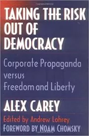 Taking the Risk Out of Democracy