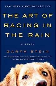 Book cover for "The Art of Racing in the Rain" by Garth Stein