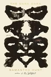 Book cover for "The Dark Dark" by Samantha Hunt
