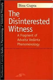 Book cover for "The Disinterested Witness" by Bina Gupta