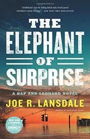 The Elephant of Surprise