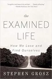 Book cover for "The Examined Life" by Stephen Grosz