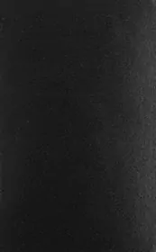 The Gathering of the Forces