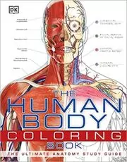 Book cover for "The Human Body Coloring Book" by DK