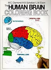 Book cover for "The Human Brain Coloring Book" by Marian C. Diamond