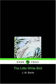 The Little White Bird