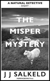The MISPER Mystery
