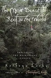 Book cover for "The Most Beautiful Roof in the World" by Kathryn Lasky