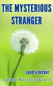 Book cover for "The Mysterious Stranger" by Sandra Becker