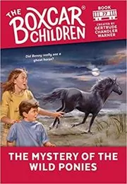 The Mystery of the Wild Ponies