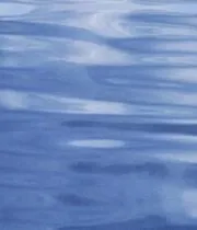 The Nine Bears / The Other Man / The Cheaters / Silinski, Master Criminal