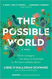 The Possible World