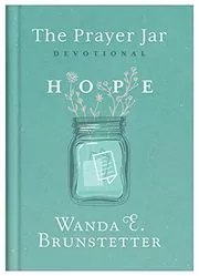 Wanda E Brunstetter book cover