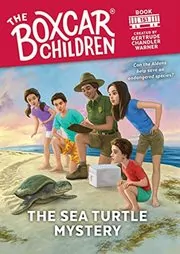 The Sea Turtle Mystery