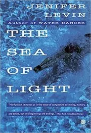 Book cover for "The Sea of Light" by Jenifer Levin